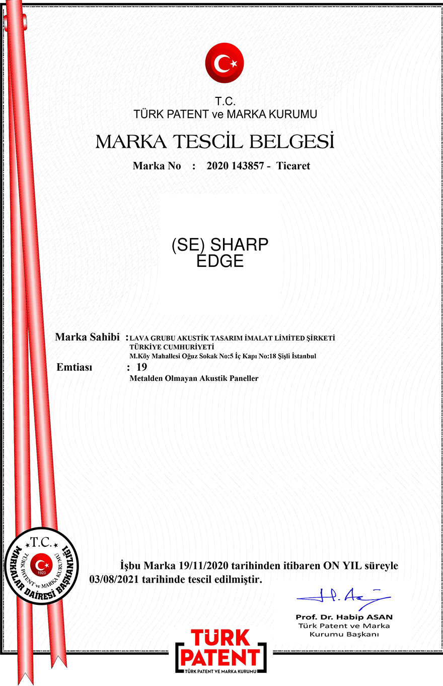 PATENT_19